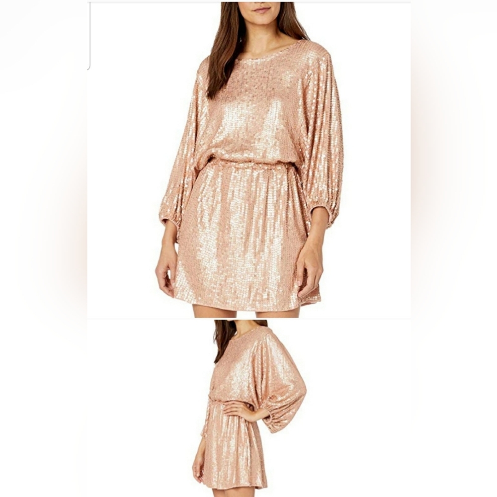 Show me your Mumu Genevieve Sequined Blouson Mini Dress Small